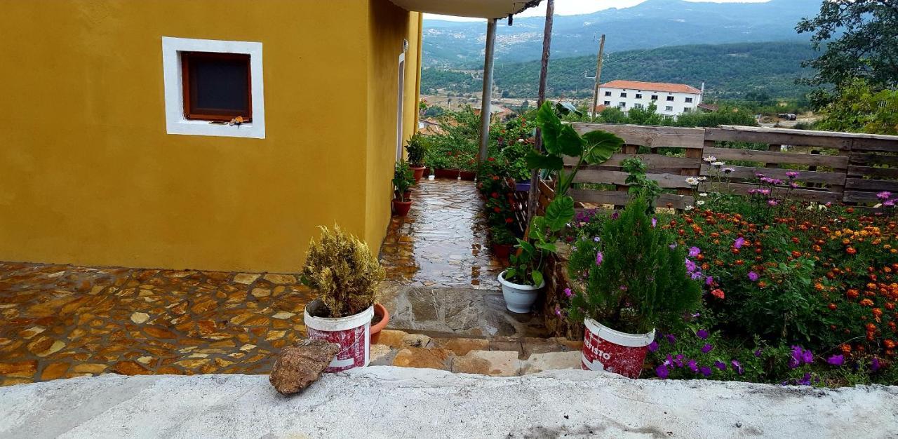 Guest House Agush Kribul 외부 사진